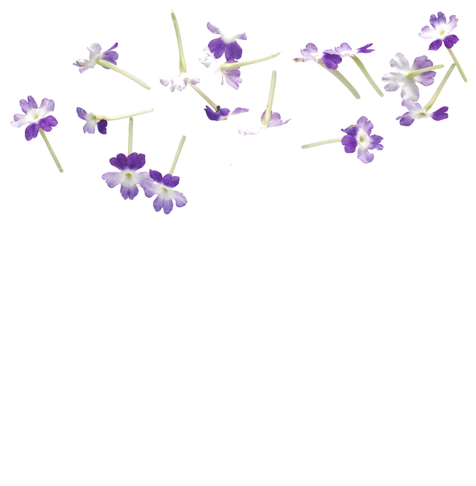 Slider-3(1)